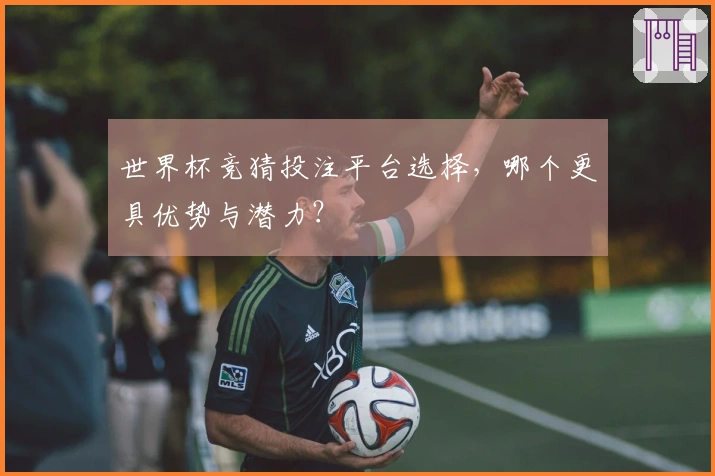 世界杯竞猜投注平台选择，哪个更具优势与潜力？