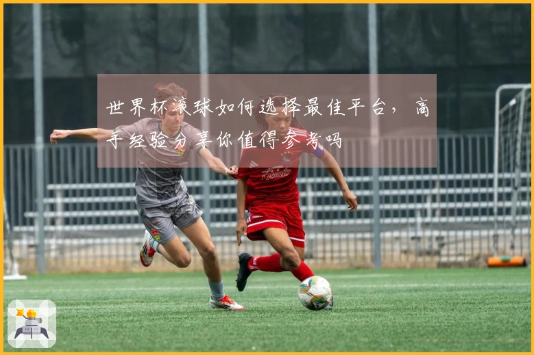 世界杯滚球如何选择最佳平台，高手经验分享你值得参考吗