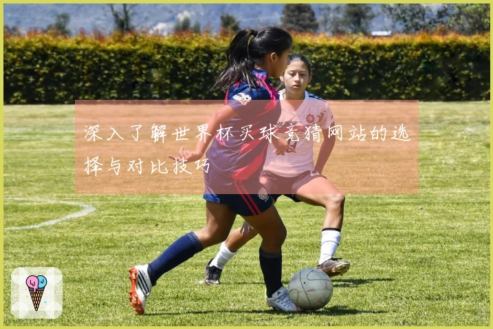 深入了解世界杯买球竞猜网站的选择与对比技巧